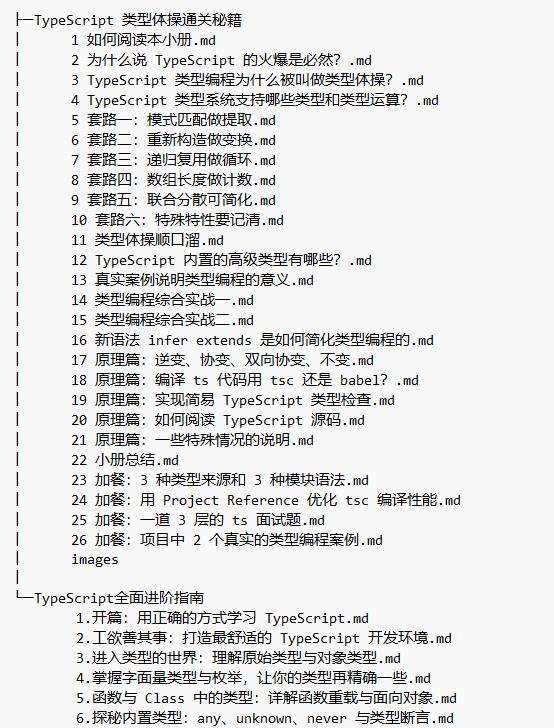 TypeScript 類型體操通關(guān)秘籍與typescript全面進(jìn)階指南 教程 下載  圖1